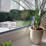 Apartament Margret *